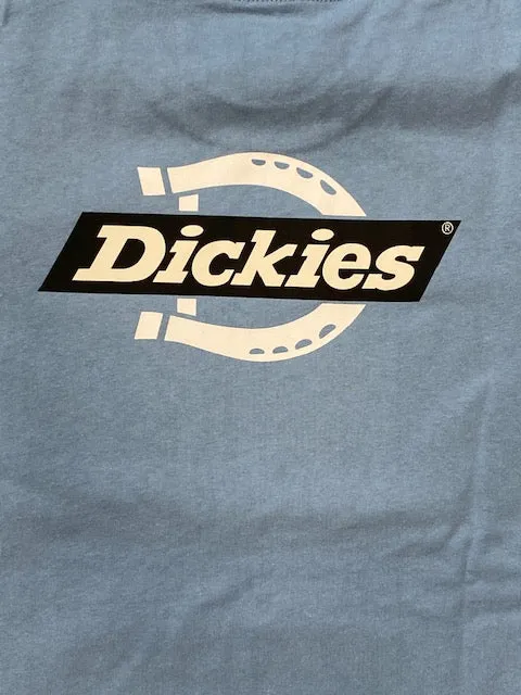 Dickies T-shirt manica corta da uomo Ruston DK0A4DC C36 celeste chiaro Cross Grain Knit Weekend Style Trend