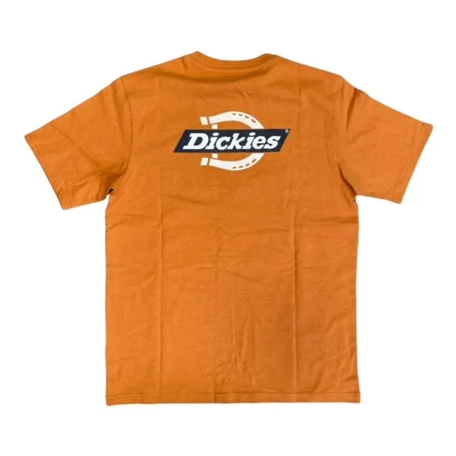 Casual Look Outdoor Leisure Look Dickies T-shirt manica corta da uomo Ruston Tee DK0A4XDC C38 giallo ocra