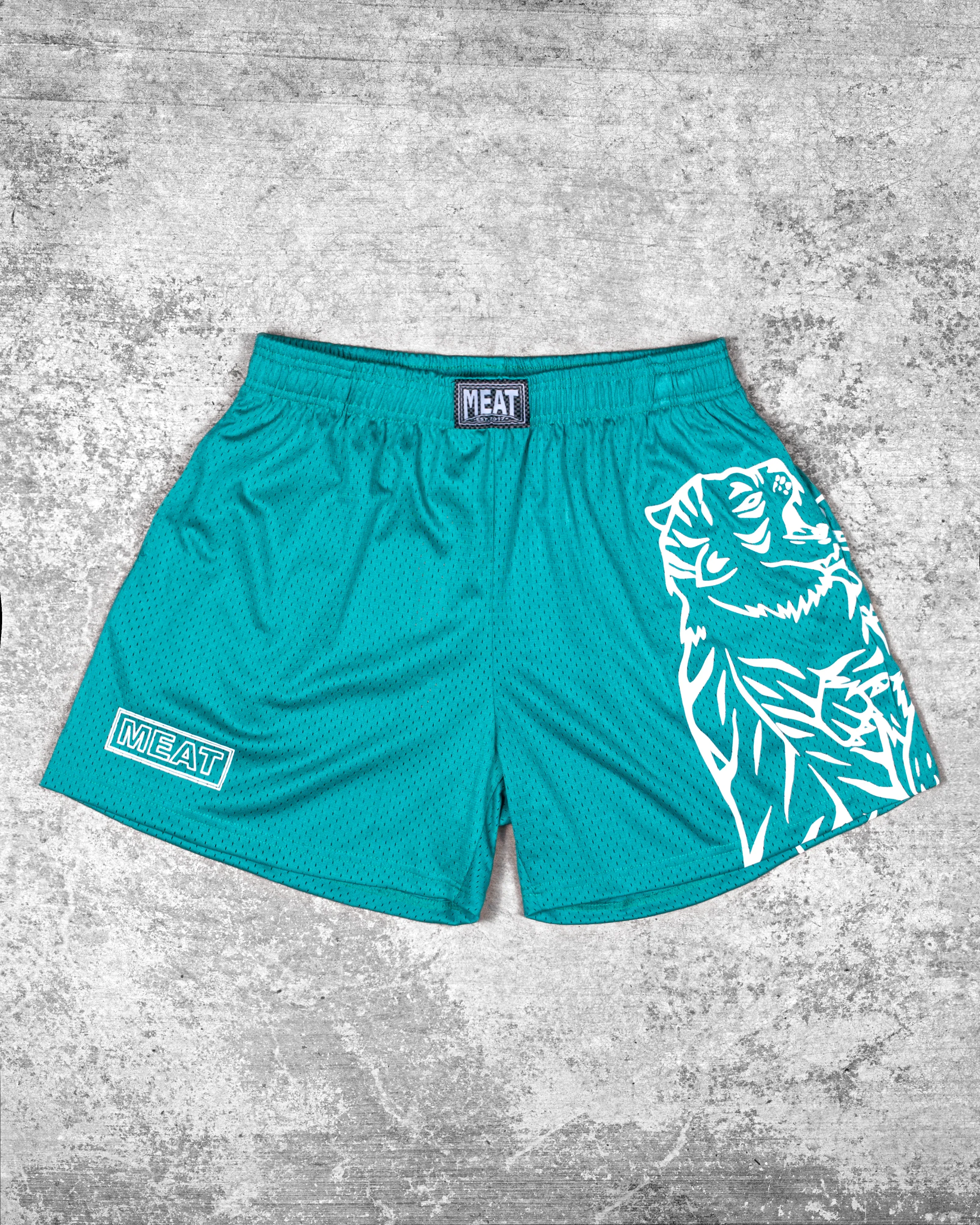 TRAINING SHORTS ?C CLUB / MINT GREEN On Trend